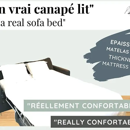 شقة L'eden - 2 - Centre - Ascenseur *