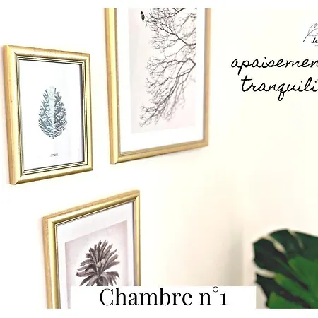 L'eden - 2 - Centre - Ascenseur Arras