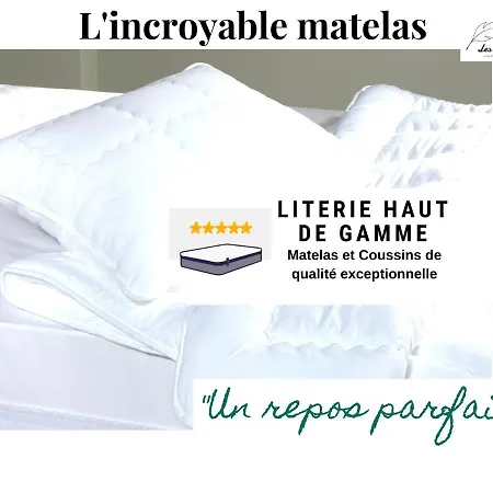 L'eden - Centre Historique - 2ch - Ascenseur - Spacieux 75m2 - 6 Pers - Parking Public En Face Daire