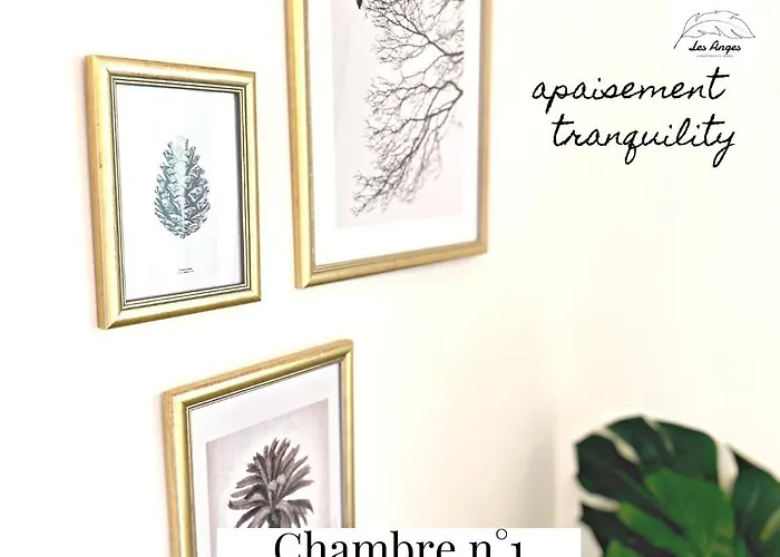 L'eden - 2 - Centre - Ascenseur Arras