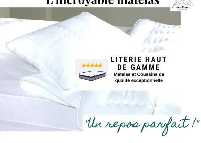 L'eden - 2 - Centre - Ascenseur Appartement